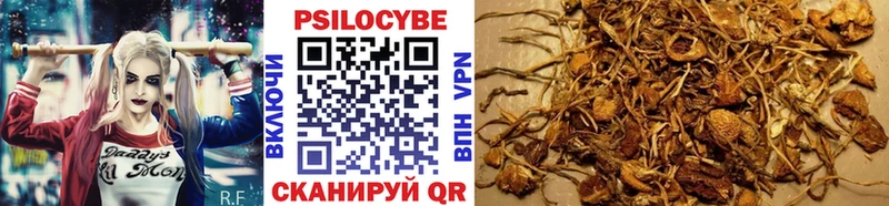 Псилоцибиновые грибы прущие грибы  наркота  Таруса 